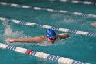 Swimming vs Babson  Wheaton College Swimming & Diving vs Babson College. - Photo By: KEITH NORDSTROM : Wheaton, Swimming